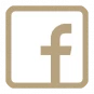 Facebook Ads Logo