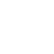 Icon Fingerabdruck