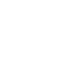 Icon Fingerabdruck