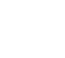 Icon Fingerabdruck
