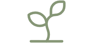 Icon Pflanze für Praxis gründen
